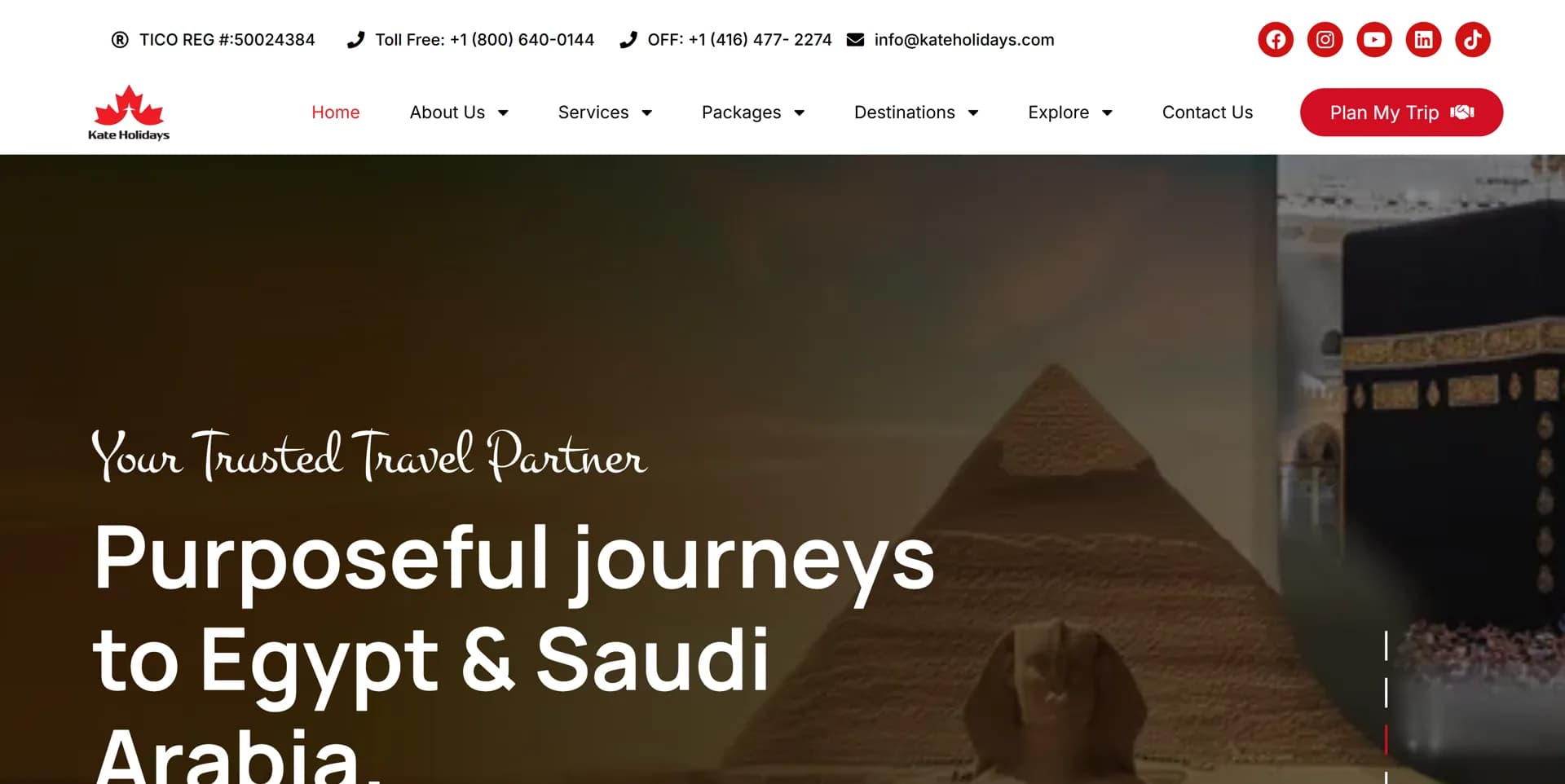 Kate Holidays live website